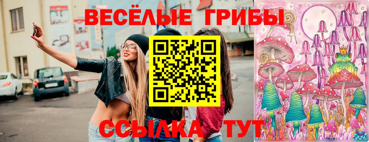 Галлюциногенные грибы Psilocybine cubensis  Вход с VPN  Улан-Удэ 
